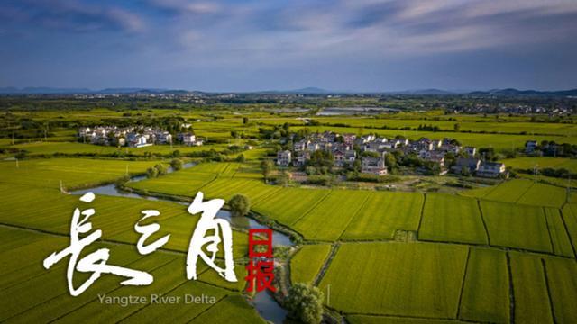 九游体育app-【长三角日报】“苏超”第四周赛事，预约购票提前